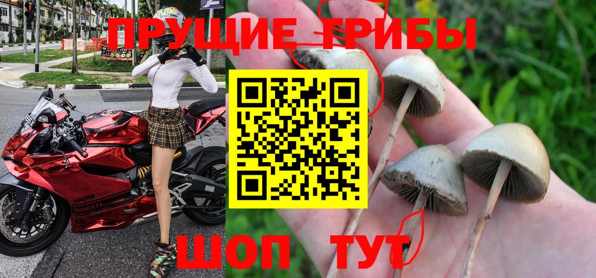 Галлюциногенные грибы ЛСД Богородск